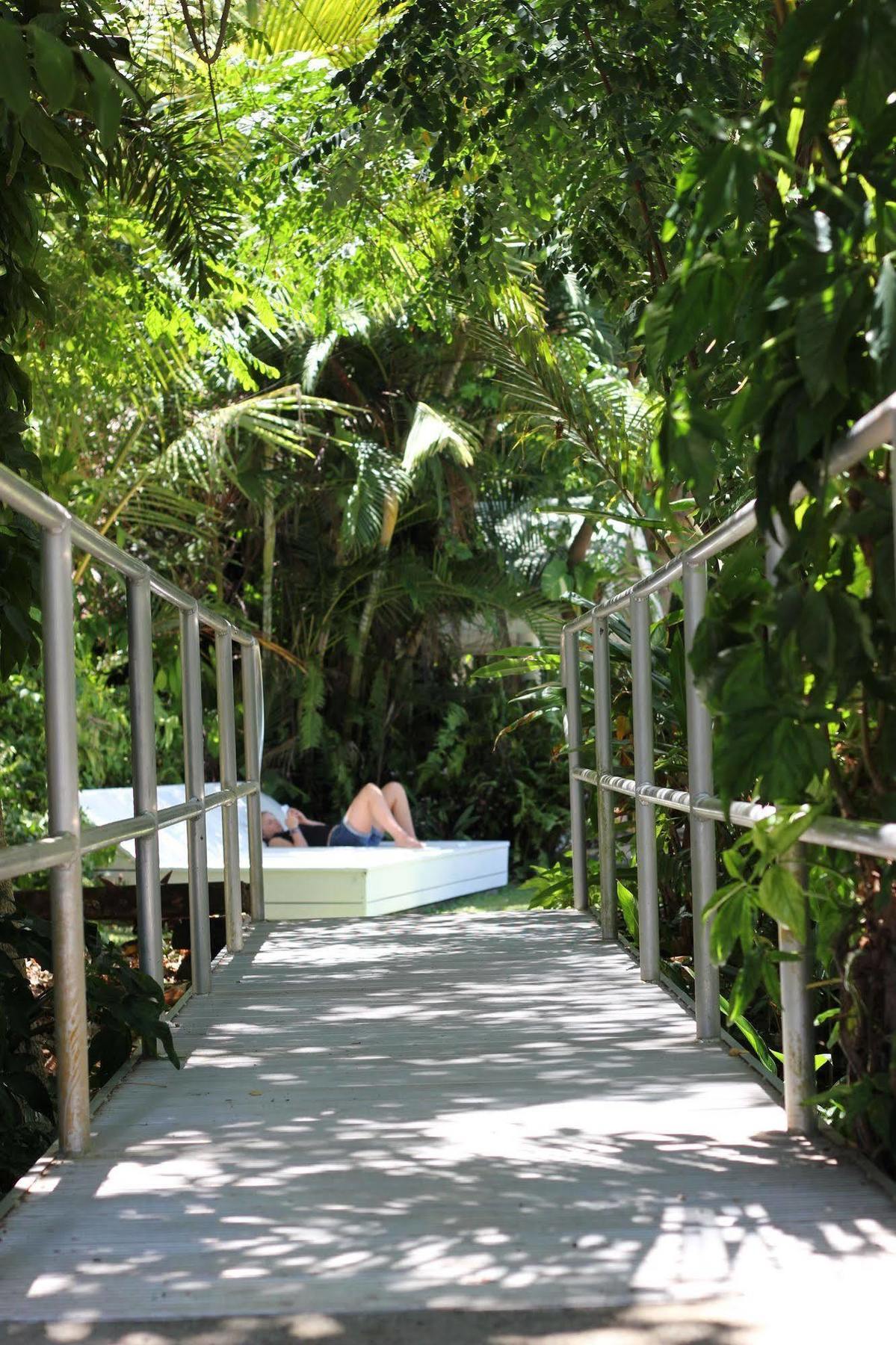 Absolute Backpackers Mission Beach Εξωτερικό φωτογραφία